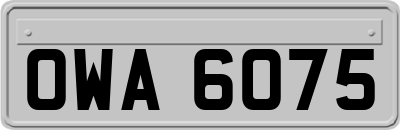 OWA6075