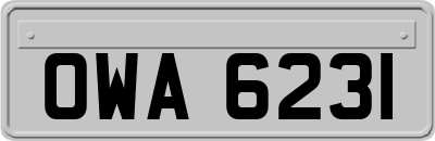 OWA6231