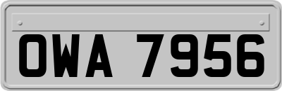 OWA7956