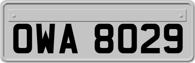 OWA8029