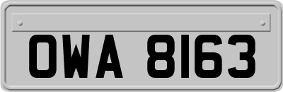 OWA8163