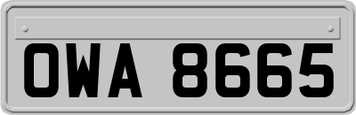 OWA8665