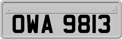 OWA9813