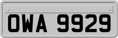 OWA9929