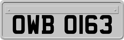 OWB0163