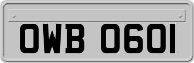 OWB0601