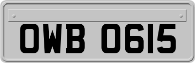 OWB0615