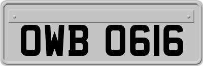 OWB0616