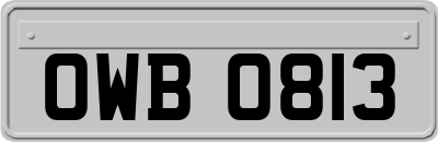 OWB0813