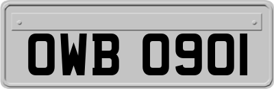 OWB0901