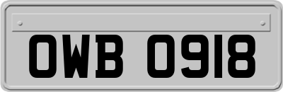 OWB0918