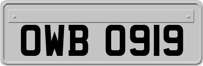 OWB0919