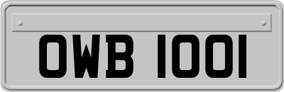 OWB1001