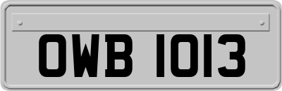 OWB1013