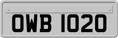 OWB1020