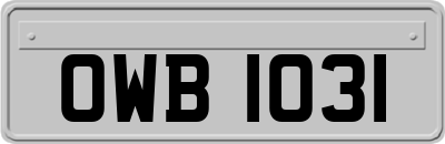 OWB1031
