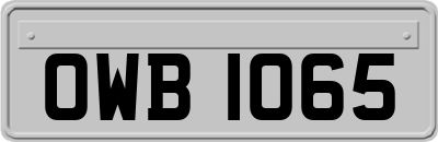 OWB1065
