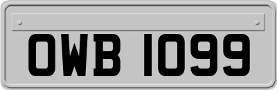 OWB1099