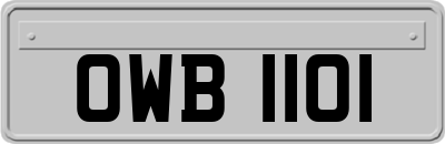 OWB1101