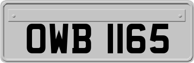 OWB1165