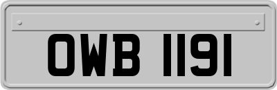 OWB1191