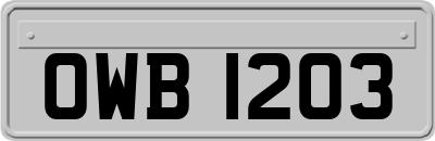 OWB1203