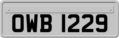 OWB1229