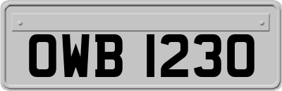 OWB1230