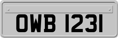 OWB1231