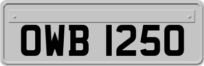OWB1250