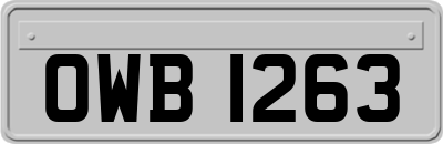 OWB1263