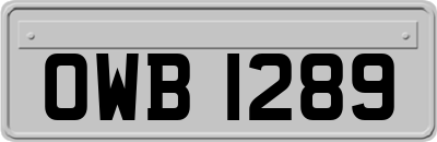 OWB1289