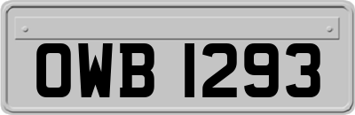 OWB1293