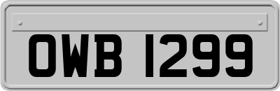 OWB1299