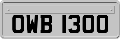 OWB1300