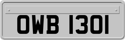 OWB1301