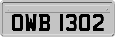 OWB1302