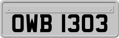 OWB1303