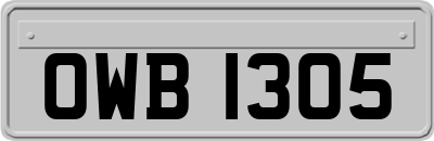 OWB1305