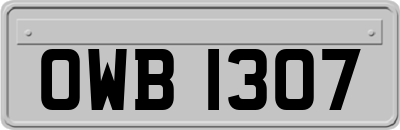 OWB1307