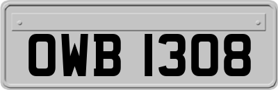 OWB1308