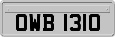 OWB1310