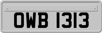 OWB1313