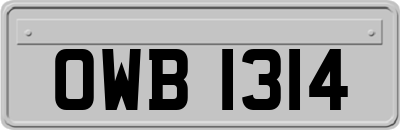 OWB1314