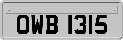 OWB1315