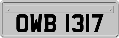 OWB1317