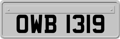 OWB1319