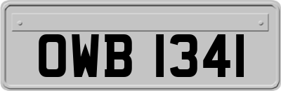 OWB1341