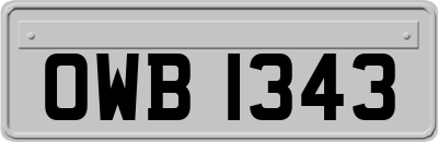 OWB1343