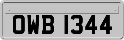 OWB1344